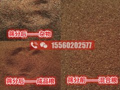 海藻籽篩分機(jī)，清選除雜效果好的機(jī)器