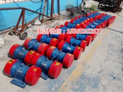 YZU-16-6振動(dòng)電機(jī)、YZU振動(dòng)篩專用電機(jī)、功率1.3KW振動(dòng)電機(jī)發(fā)貨